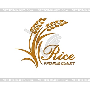 Значок риса, початки злакового пищевого растения и зерна - изображение в векторном формате
