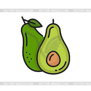 Alligator pear, exotic avocado fruit snack icon - vector clipart