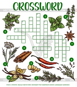 Spices, herbs or seasonings sketch, crossword grid - vector image