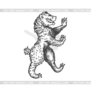 Bear medieval heraldic animal sketch symbol - vector clipart