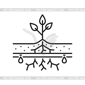 Plant seedling drip watering, irrigation icon - vector image