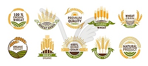 Значки пшеничных колосьев, зерновые колосья органического продукта - клипарт в векторном формате