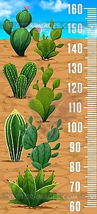 Kids height chart ruler with cactus succulents - vector image