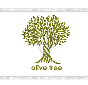 Символ старого оливкового дерева, эмблема органической фермы - изображение в векторном формате