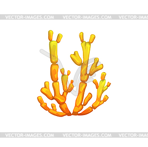 Underwater seaweed, aquarium algae cartoon plant - color vector clipart