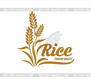 Rice icon with cereal plant and grains, farm food - vector clipart