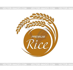 Rice icon, grain food plant, organic agriculture - vector image