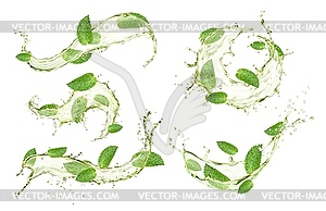 Green herbal tea splashes with mint leaves, drink - vector image