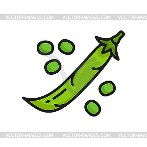 Pod of kidney bean legume food line icon - royalty-free vector clipart