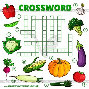 Raw farm vegetables on crossword grid worksheet - vector image