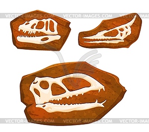 Ancient fossil, dinosaur skulls imprints in stone - vector clip art