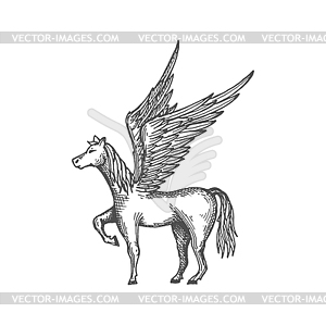 Greek pegasus with wings, strong mythology animal - vector clipart