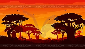 African savannah sunset landscape silhouettes - vector clipart