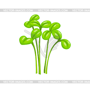 Cartoon cress salad vegetable, leaf plant food - vector clipart