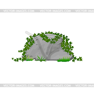 Half circle stone sign board, ivy jungle leaves - vector clipart