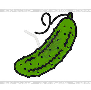 Зеленый огурец корнишон свежий или сыроежка овощной значок - векторный рисунок