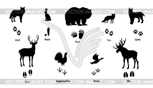 Forest animal and bird silhouettes with footprints - royalty-free vector image