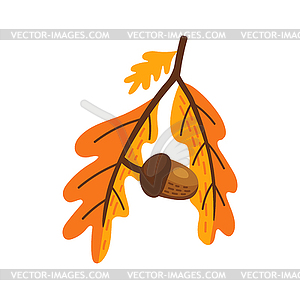 Letter autumn oak tree branch with acorns - vector image