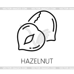 Filbert nut whole hazelnut cobnut snack - vector clip art