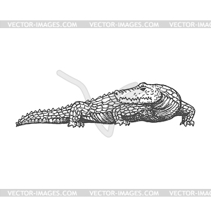 Alligator sketch, crocodile ancient aztec animal - vector clipart