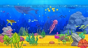 Cartoon underwater landscape, whale, fish, seaweed - vector clipart