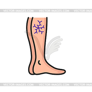 Varicose veins, leg with vascular net outline icon - vector image