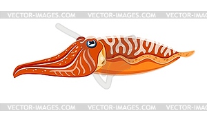 Мультяшная каракатица морское животное - векторный клипарт / векторное изображение
