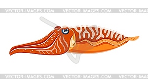 Cartoon cuttlefish sea animal - vector image