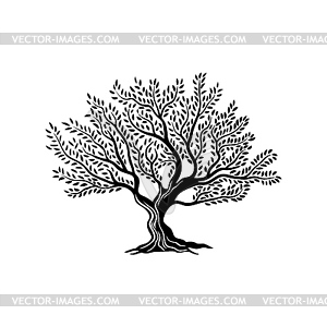 Olive tree silhouette icon with leaves - vector EPS clipart