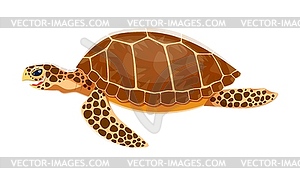 Морская черепаха - персонаж животного мира, величественное существо - векторный клипарт