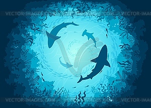Подводный морской пейзаж с акулами и рыбами - рисунок в векторе