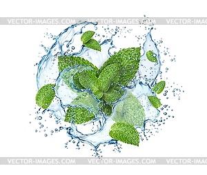 Realistic water splash with green mint leaves - vector image