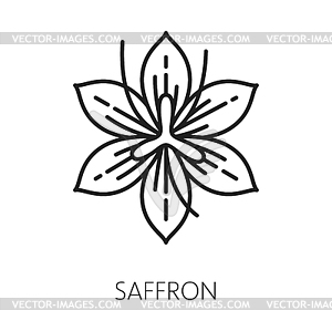 Crocus saffron flower. Floral botanical wildflower - white & black vector clipart