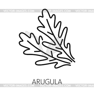 Fresh rucola or arugula leaf outline icon - white & black vector clipart