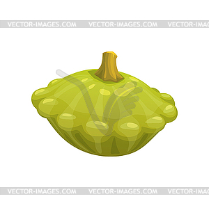 Cartoon raw squash, vegetable food - vector clipart