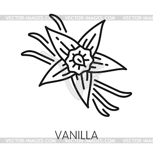 Ароматизатор ваниль, палочки корицы, цветок орхидеи - иллюстрация в векторном формате
