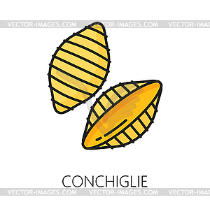 Raw organic shell pasta. Uncooked dried conchiglie - vector clipart