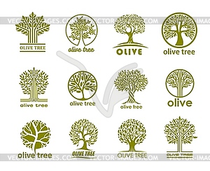 Olive tree icons, olive oil labels, organic food - vector clipart