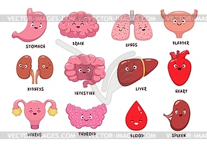 Cartoon human body organ characters, funny anatomy - vector image