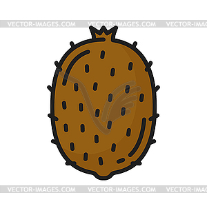 Kiwi fruit exotic tropical food - vector image