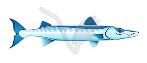 Мультяшное морское животное барракуда, хищное - изображение в векторном виде