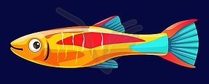 Cartoon aquarium tropical neon tetra fish - vector clip art