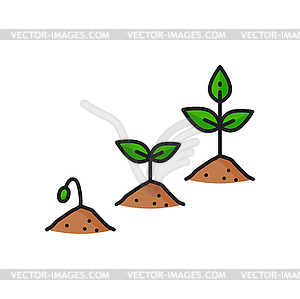 Plant growth stage agriculture color line icon - vector image