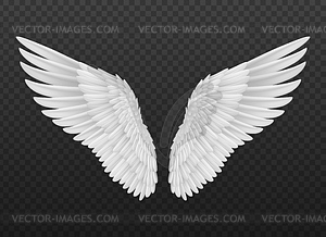 Realistic angel wings with white feathers - royalty-free vector clipart