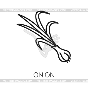 Common bulb onion, vegetarian food vegetable icon - white & black vector clipart