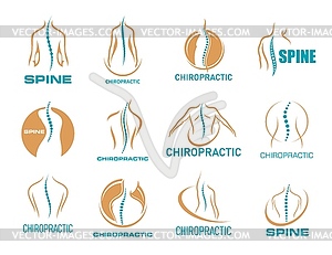 Chiropractic medicine icons, physiotherapy massage - vector clipart