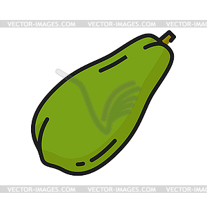 Pawpaw tropical fruit papaya exotic food dessert - vector EPS clipart