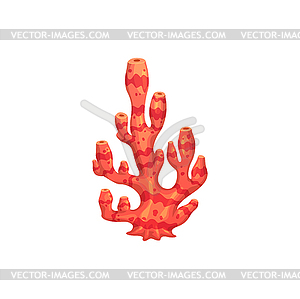 Cartoon underwater coral, seaweed plant, sea algae - vector image