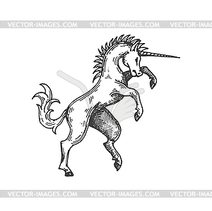 Единорог - средневековый геральдический символ животного эскиза - иллюстрация в векторном формате