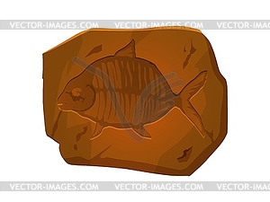 Ancient fossil, fish skeleton imprint in stone - vector clip art